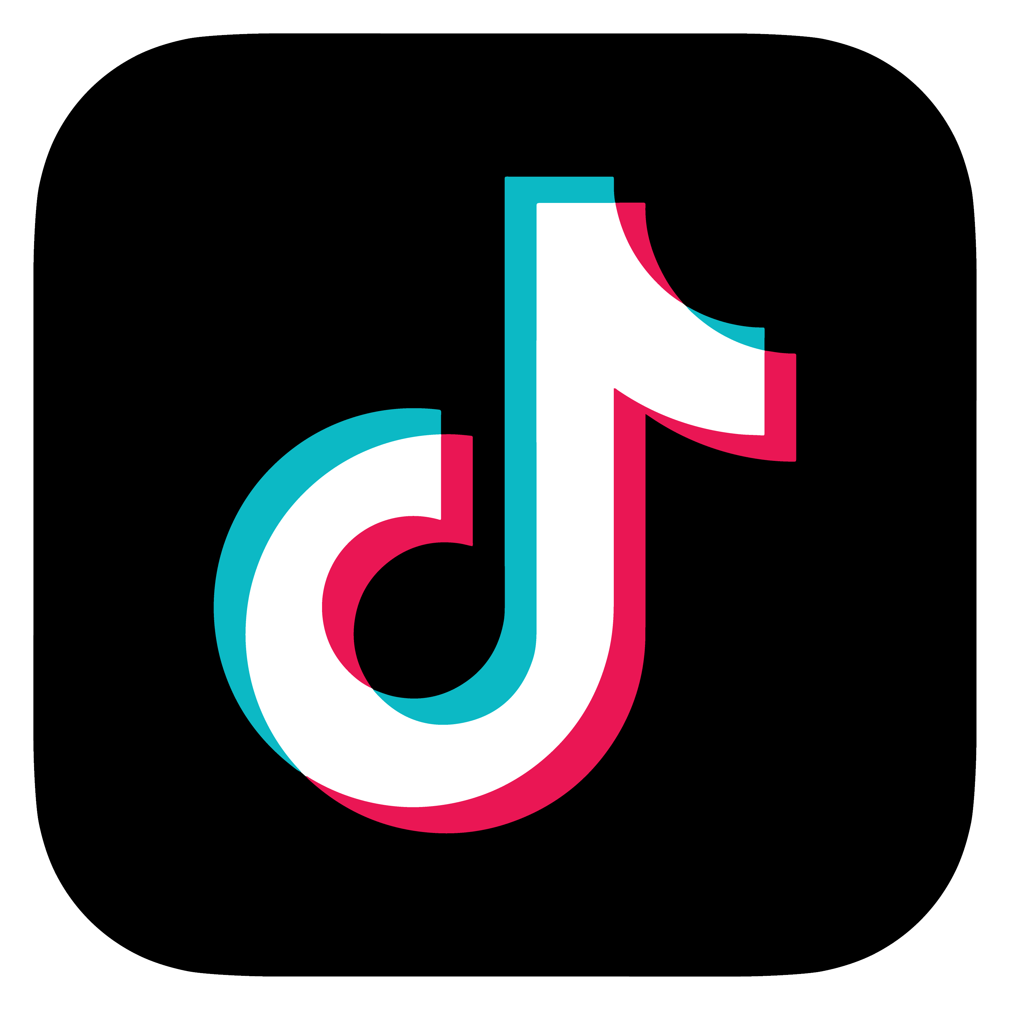 icon tiktok